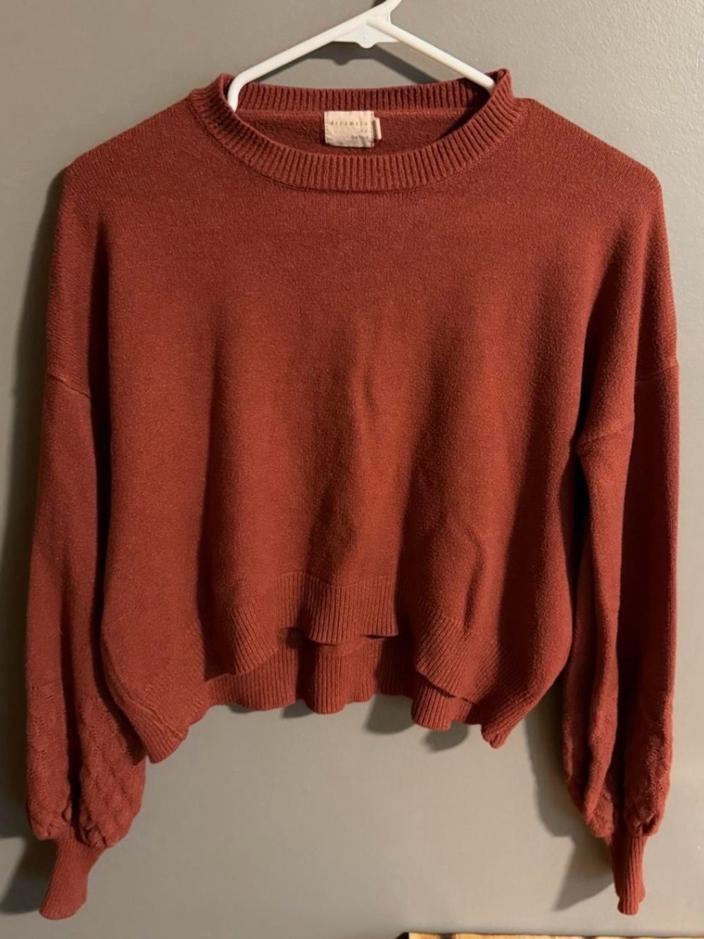 Cozy Crewneck Pullover Sweater in Rust